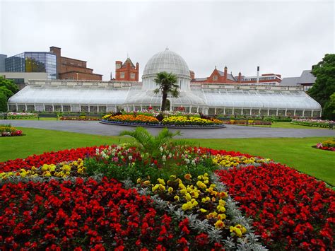 Belfast Botanic Gardens Fight | Fasci Garden