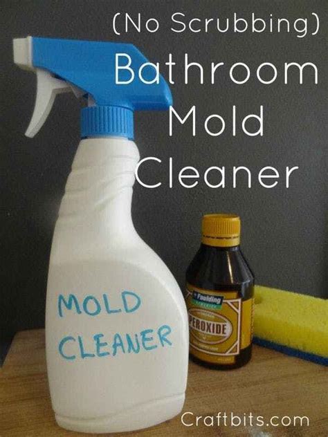 Bathroom Mold Cleaner — craftbits.com | Cleaning mold, Diy shower ...