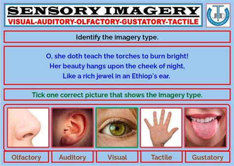 SENSORY IMAGERY: WORKSHEETS WITH ANSWERS | Teaching Resources