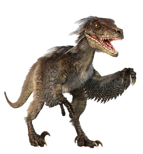 Learn about the Velociraptor, one of Jurassic World's main dinosaurs – How It Works