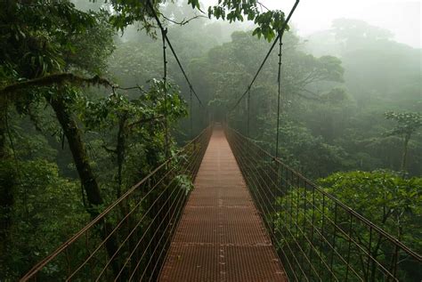 Monteverde – Costa Rica Cloud Forest Experience - No Limit Adventures Costa Rica