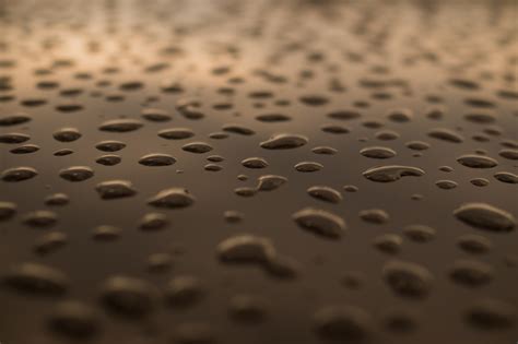 Free Images : drop, texture, rain, leaf, line, blue, circle, raindrops, macro photography, water ...