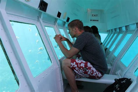 Roatan Glass Bottom Boat- $45 - WEST BAY TOURS