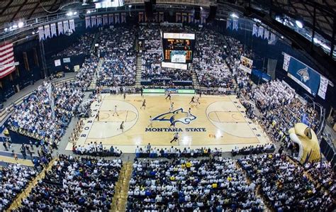 Montana State University Men's Basketball | TicketsWest