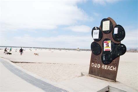 Dog Beach | Ocean Beach San Diego CA