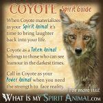 Coyote Symbolism & Meaning | Spirit, Totem & Power Animal