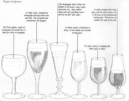 Port Wine Glasses Shape | Design on Wine | Port wine glasses, Stemware, Design