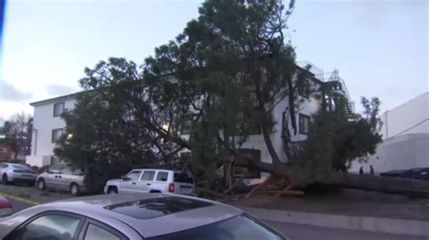 Storm Damage Across San Diego County: Trees Topple, Roads Closed, Power ...