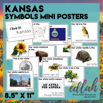 Kansas State Symbols - Mini Posters by Melissa Schaper | TpT