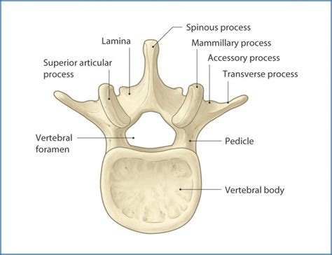 The Trauma Professional's Blog