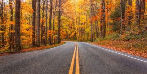 Your Ultimate Guide to the Smoky Mountains Fall Colors