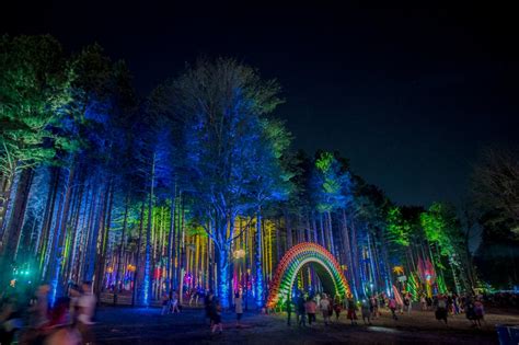 Electric Forest Festival | AEG Worldwide