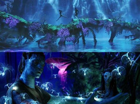 Bioluminescence - "Avatar" - Pictures - CBS News