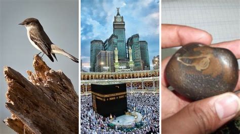 How Ababeel Protected Kaaba When It Was Attacked - Surah Al Fil