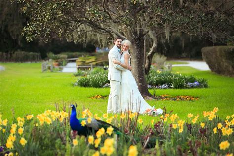 Magnolia Plantation- Wedding Venue Charleston SC - Diana Deaver Weddings