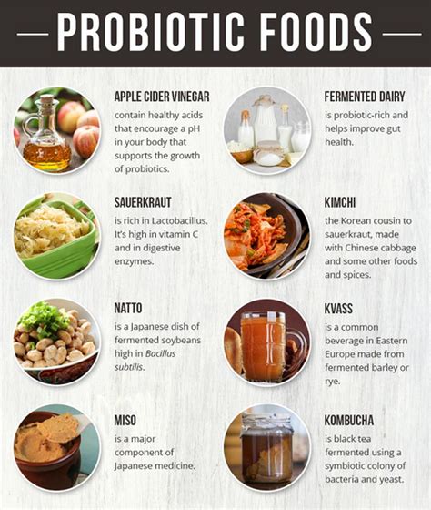 Infographic: Probiotic Rich Foods – TTN Palawan Inc.