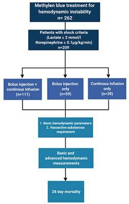 Frontiers | Methylene blue dosing strategies in critically ill adults ...