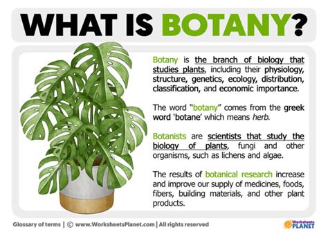 What is Botany | Definition of Botany