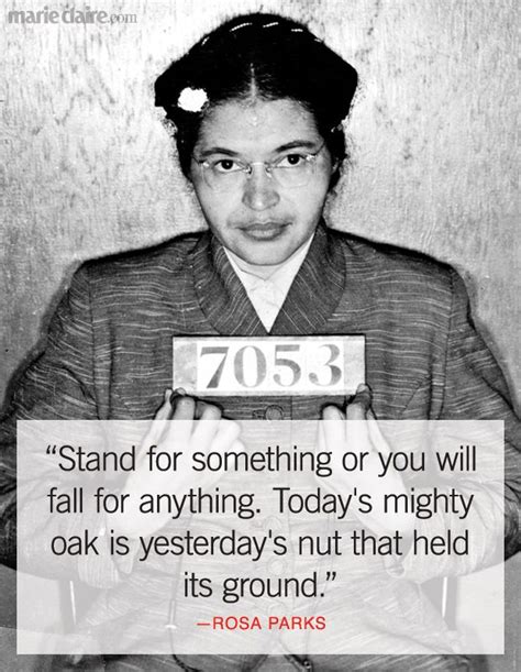 Quotes about Rosa parks bus boycott (13 quotes)