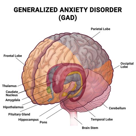 Generalized Anxiety Disorder (GAD) Treatment in NYC, NJ, FL