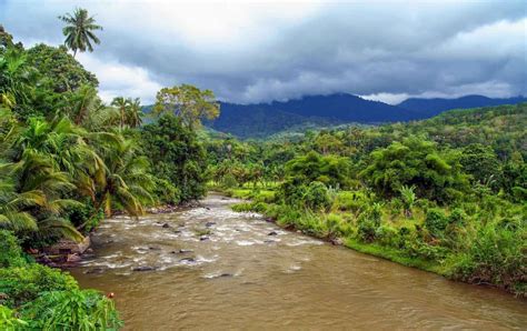 BUKIT BARISAN - THE TROPICAL RAINFOREST HERITAGE OF SUMATRA - Travel magazine for a curious ...