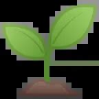 🌱 - Seedling or Spring Emoji 📖 Emoji Meaning Copy & 📋 Paste ( ‿ ) SYMBL