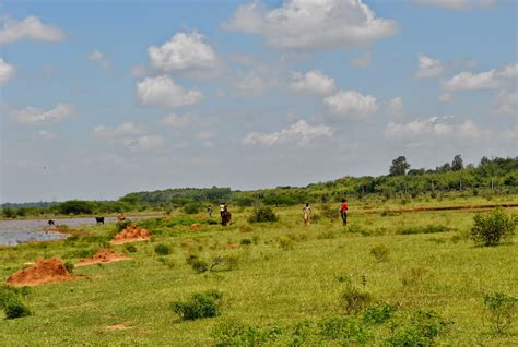 Travel and et al: Picnic at Hesaraghatta Lake