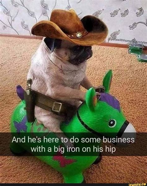 IP s here to do some business with a big iron on his h And he - iFunny | Щенки мопса, Детеныши ...