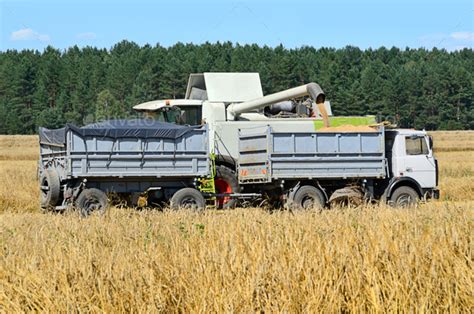 Harvesting in a field Stock Photo by eAlisa | PhotoDune