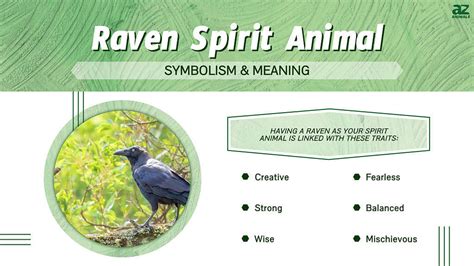 Raven Spirit Animal Symbolism and Meaning - A-Z Animals