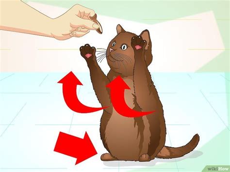 Image titled Teach Your Cat to Do Tricks Step 13 Cat Whisperer, F2 ...