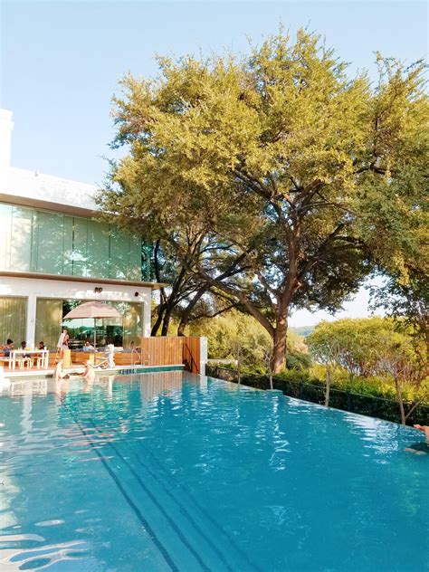 Best Hotel Pools in Austin with Day Passes - The Bella Insider