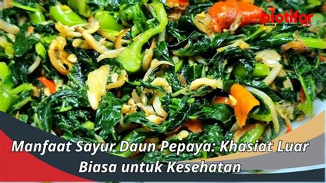 Manfaat Sayur Daun Pepaya: Khasiat Luar Biasa untuk Kesehatan - Biotifor