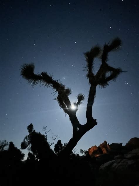 40 Miles for 40 Years: An Epic Birthday in Joshua Tree - JohnVantine.com