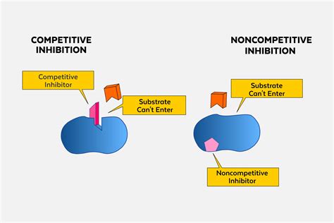 Noncompetitive Enzyme Inhibitors