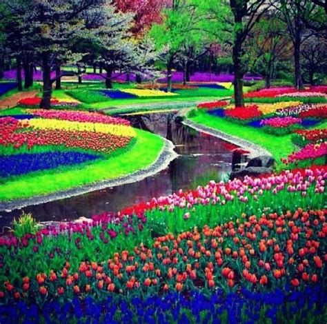 rainbow garden - Google Search | Beautiful gardens, Beautiful places in the world, Beautiful places