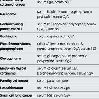 (PDF) An Overview of Neuroendocrine Tumour Markers