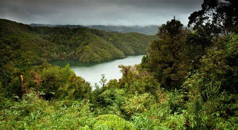 The Nature Conservancy in Chile