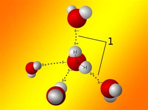 Liên Kết Hidro Là Gì - Tìm Hiểu Tính Chất Hidro Liên Kết Trong Nước