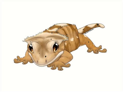 "Tiger Crested Gecko" Art Print by LizardBeans | Redbubble