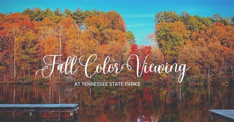 Smoky Mountains Fall Colors Best Time 2024 Schedule - Ailyn Atlanta