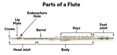 Flute Quickstart Guide | Sweetwater