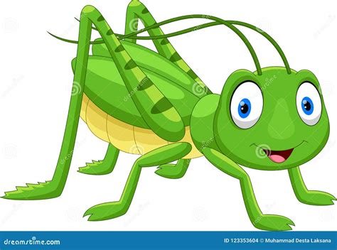 Cute Grasshopper Cartoon Isolated On White Background | CartoonDealer.com #131587929