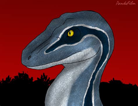 Velociraptor: Blue of the Raptor Squad by PandaFilmsG on DeviantArt