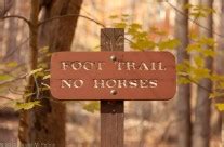 Rock Creek Park – Fall Colors | Dan Pence Photography