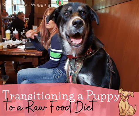 Transitioning a Puppy to a Raw Food Diet | Keep the Tail Wagging