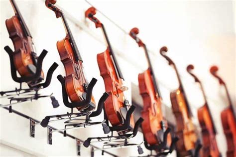 Different Types Of Violins - What Are They & Which Is Best For You?