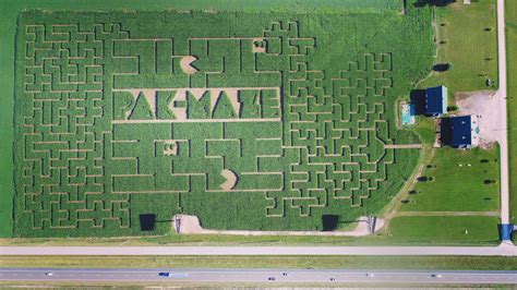 The Corn Maze | Shryocks Callaway Farms