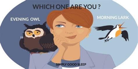 Which One Are You - a Morning Lark or Evening Owl? | Simply Good Sleep