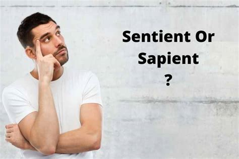 Sentient Or Sapient: What Is The Difference Between These Words? - Info Dispatcher